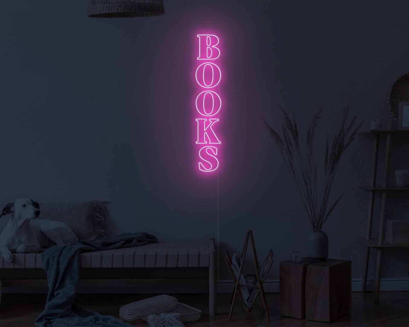 study neon signs