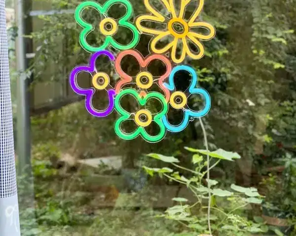 Dasies-multi-color-neon-sign-by-the-window