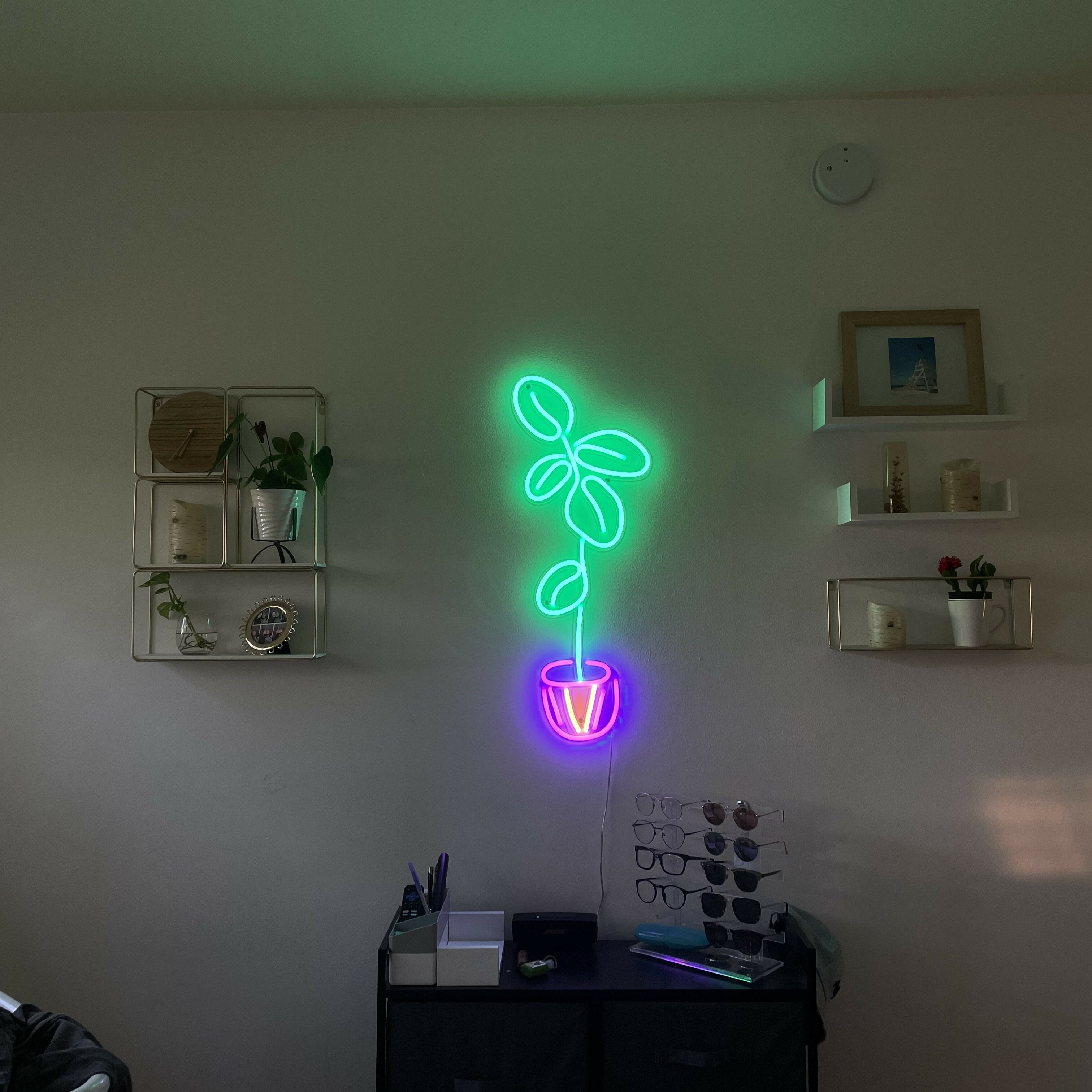 How To Use LED Neon Signs In The Leisure Industry Echo Neon
