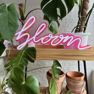 bloom neon light for home decor with pink backing