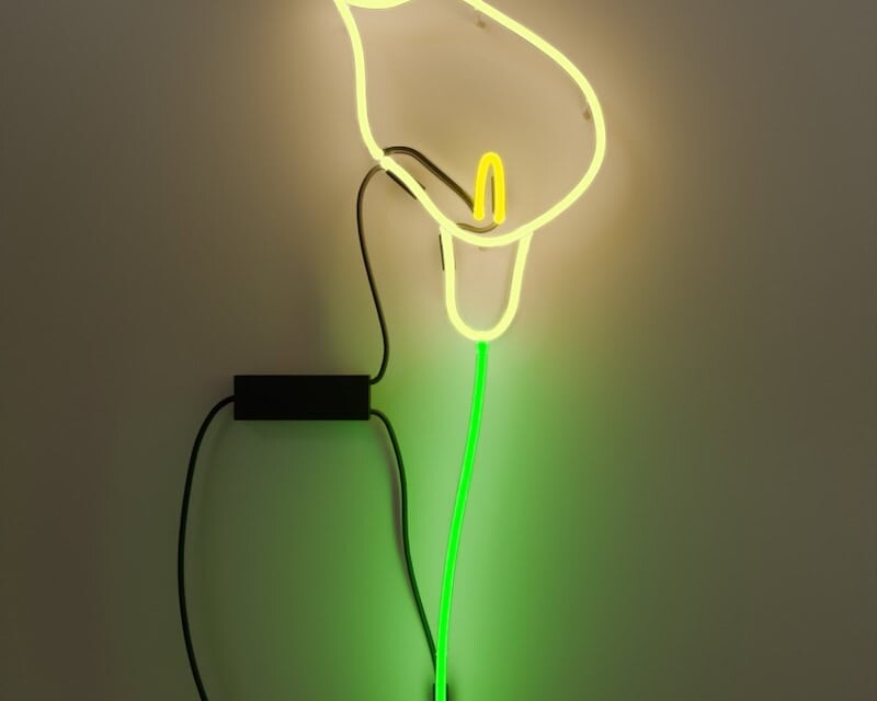 Lily flower glass neon sign