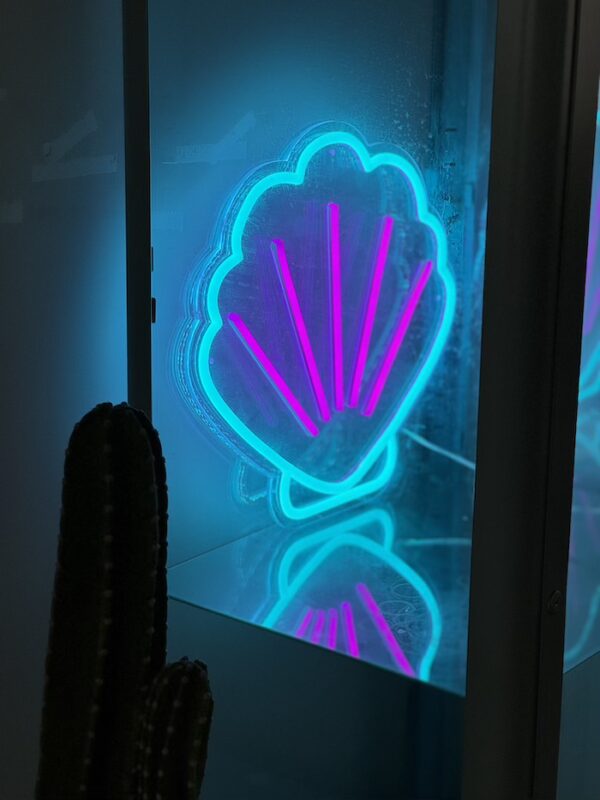 seashell purple and ice blue neon light