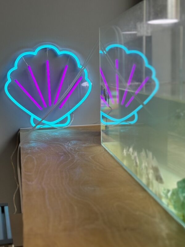 seashell purple and ice blue neon light by fish tank