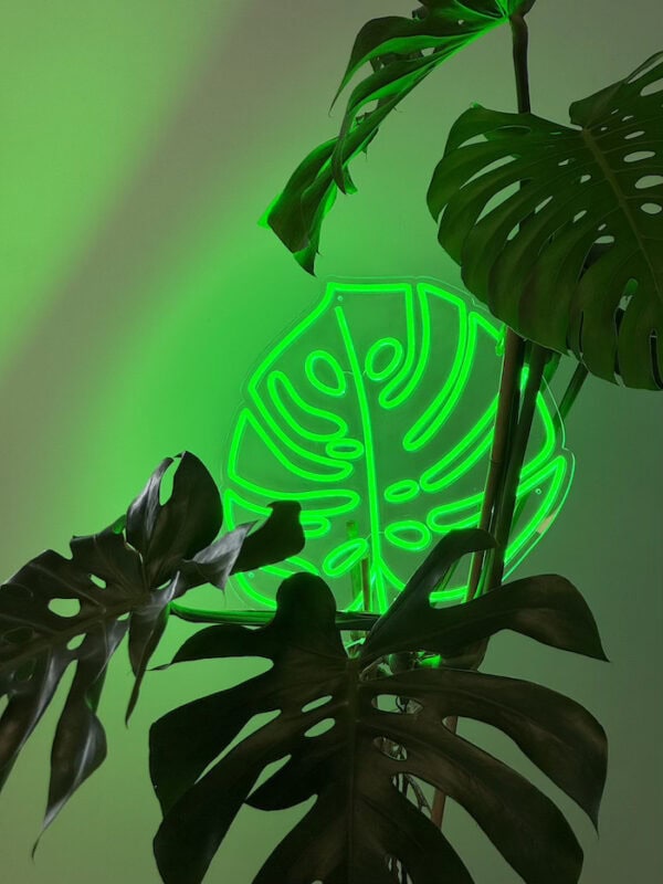 Monstera Leaf green Neon Light