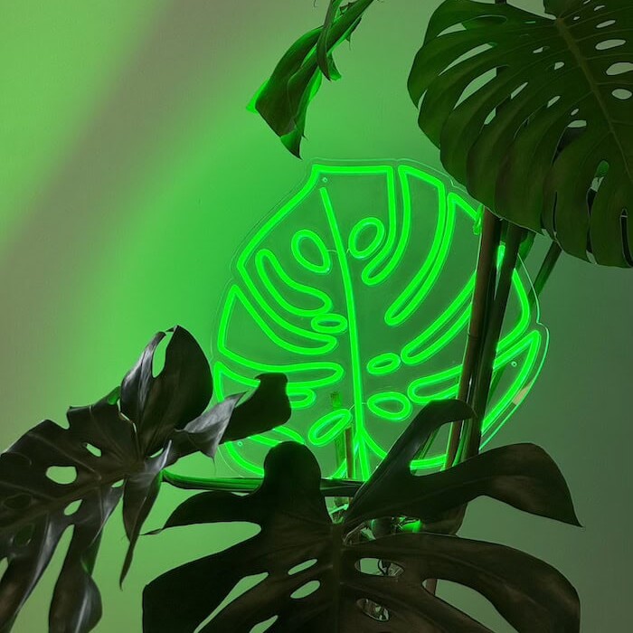 Monstera Leaf green Neon Light
